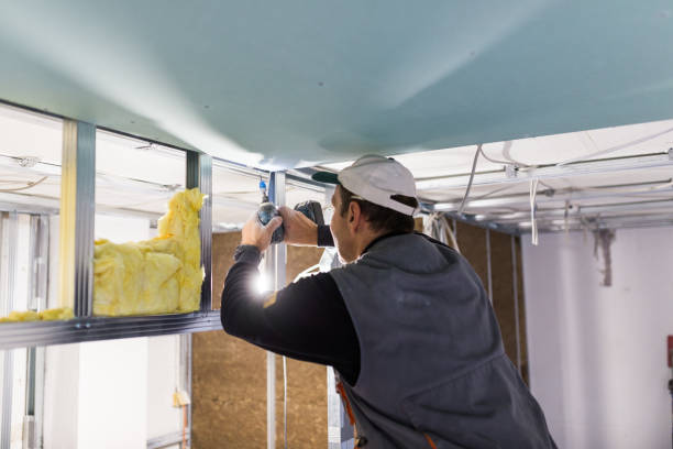 Best Cellulose Insulation in Rawlins, WY