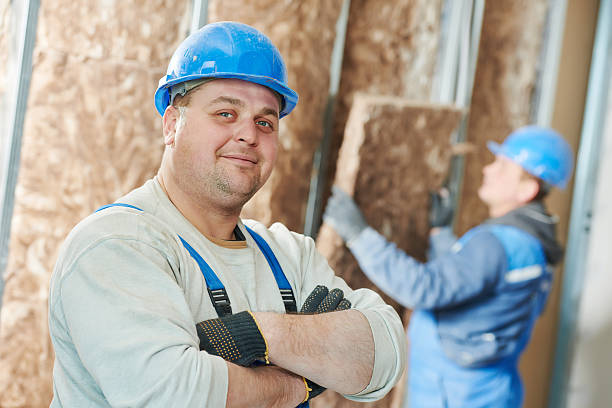 Best Eco-Friendly Insulation in Rawlins, WY